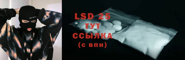 крисы Магадан