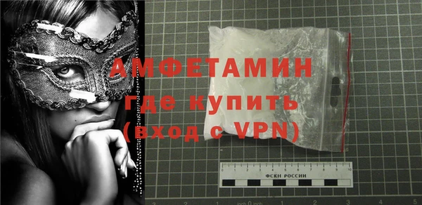 прущие грибы Мурманск