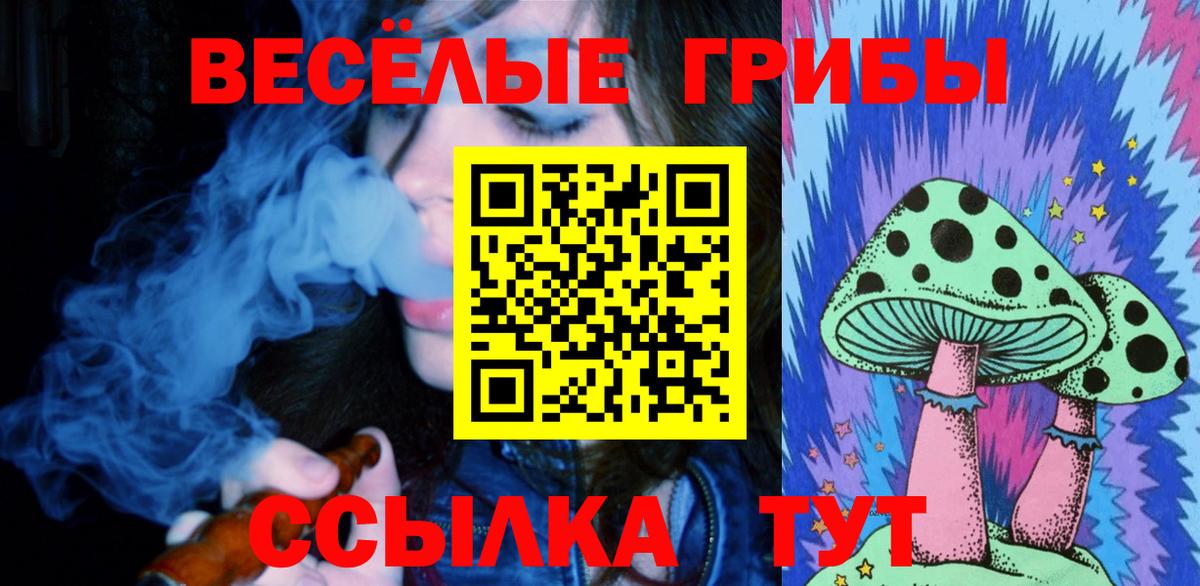 Псилоцибиновые грибы Cubensis  Шали 