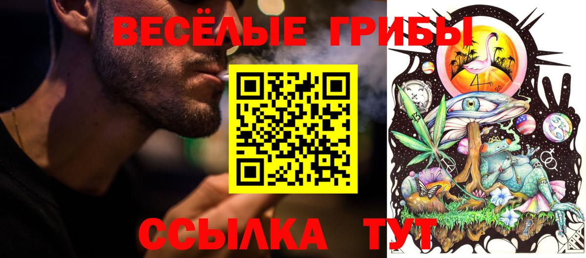 Шали  Галлюциногенные грибы мухоморы  наркошоп  Вход с VPN 