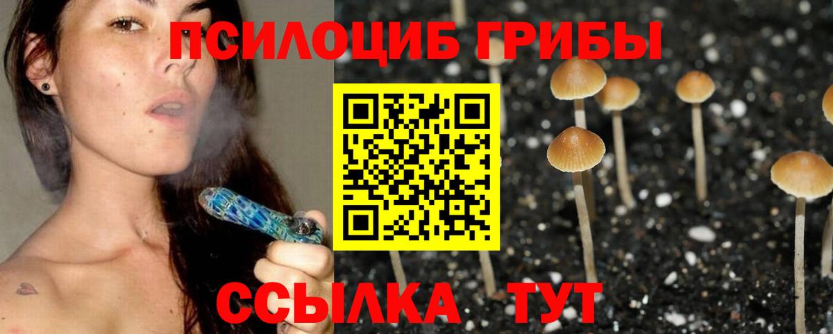 Псилоцибиновые грибы Cubensis Шали