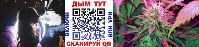 наркота  Шали  Бошки марихуана план 